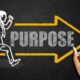 Igniting Purpose in Your Team: A Guide for New Leaders
